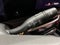 2024 Buick Envista Avenir CarBravo Certified